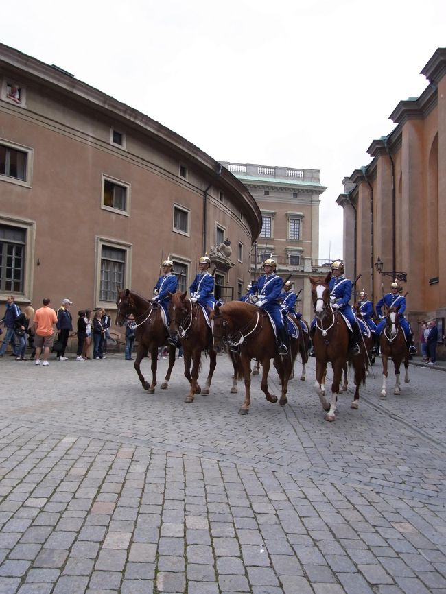 こんなに近くで馬を見たのは初めて。<br />