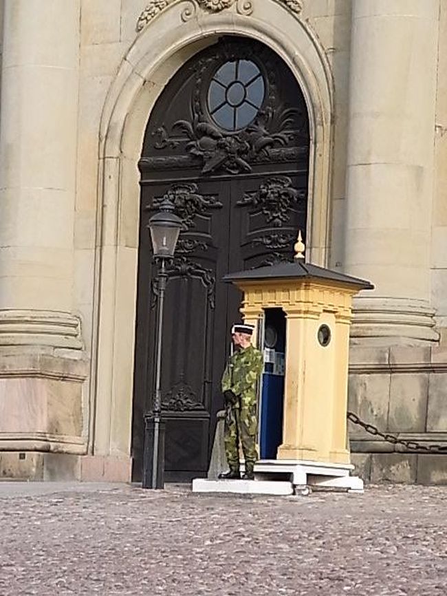 朝の衛兵は迷彩服？？