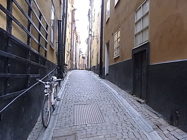 トンボが自転車に乗って出てきそう。。