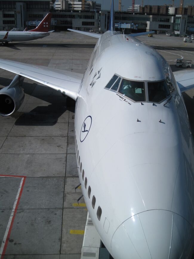 ラウンジの真下に、B744<br /><br />てっきりこちらの機材かと思っていました。