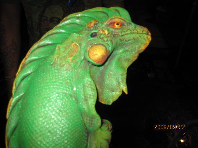 彼の彫り物の一つ、カメレオン。