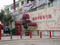 バードガーデンに到着。

ちょと離れた所からでも小鳥たちの良い声が聞こえてきます。

ゲートの手前では、ブーゲンビリアが綺麗に咲いていました。