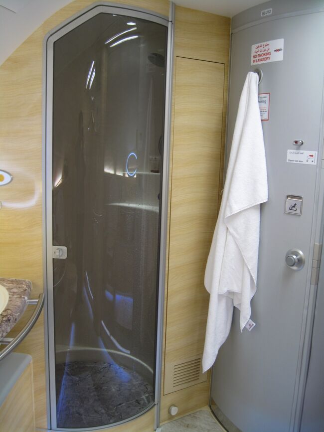 使用後(∩。∩;)ゞ<br /><br />夜便や長距離路線じゃないと利用する方は少ないような気がする。