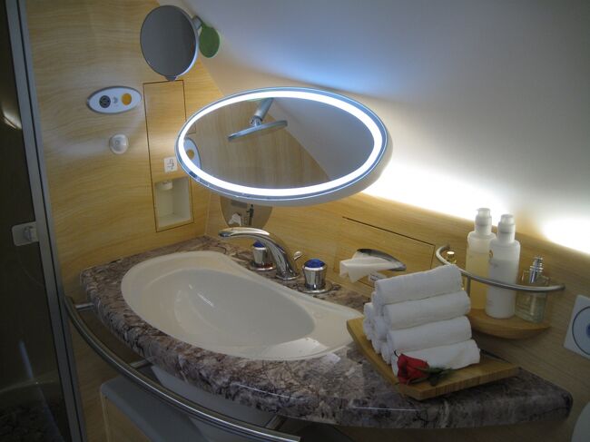 左側のシャワースパ