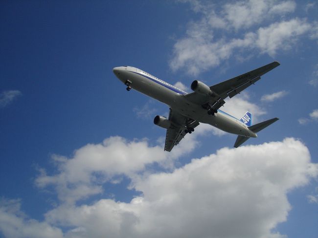 ジャンボだ！！