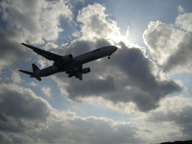 飛行機の写真ばかり続きましたが･･･。<br /><br />帰りは国道まで歩いて行き、すぐ近くにあった具志営業所のバスターミナルからバスに乗車。<br />運良く、１〜２分後に出発というバスに乗れましたが、あんまり出ていないようなので、時間には注意です。