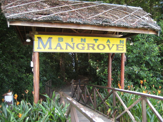 ボートツアーです。