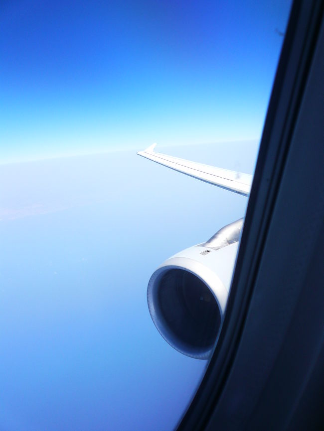 定刻どおりにルフトハンザ便はＦＣＯを出発しＦＲＡに向かってひた走ります。（？）、ビジネスのシートは欧州専用の３列シートの２列利用です。