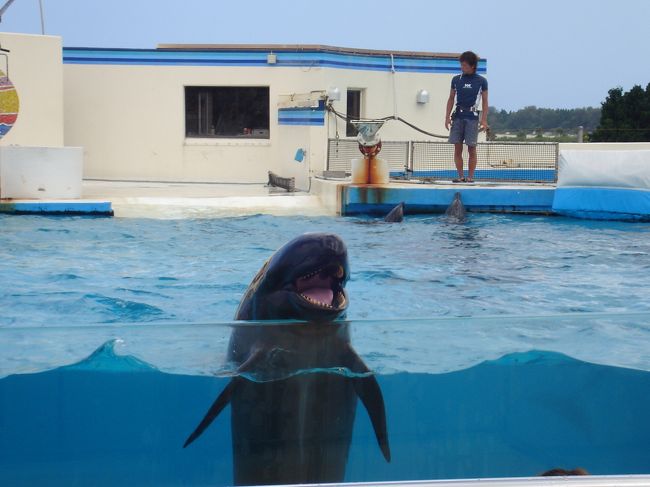 もうすぐ１１：００になるので、一旦外へ。<br />おきちゃん劇場で本日第一回目のイルカショーを見に行きます。<br /><br />このイルカショーは無料です。<br />早めに席を取りに行ったので、良い席で見られました。<br />待っている間、かなり暑かったですが･･･。　<br />
