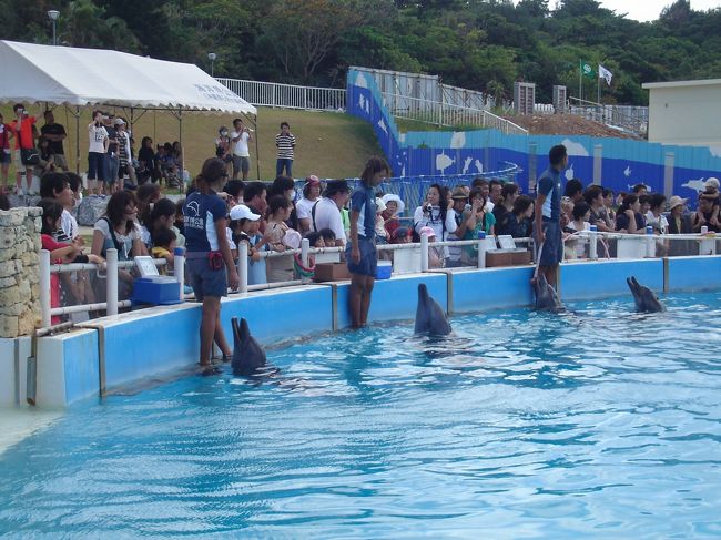 次はお隣のイルカラグーンへ移動。<br />でも、思ったより人は少ないです。<br /><br />身近でイルカが見られるのに何で？？<br />イルカの運動能力など説明してくれます。