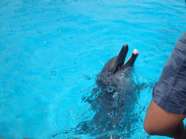 近くで見れた♪<br />カワイイ(*^_^*)