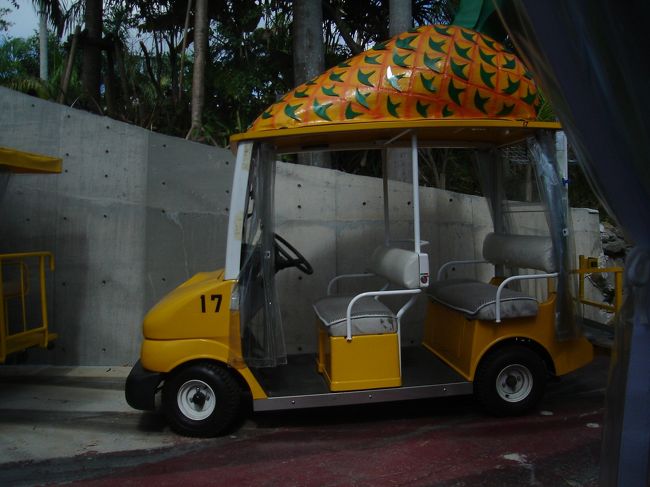 せっかくなので、カートに乗って園内見学。