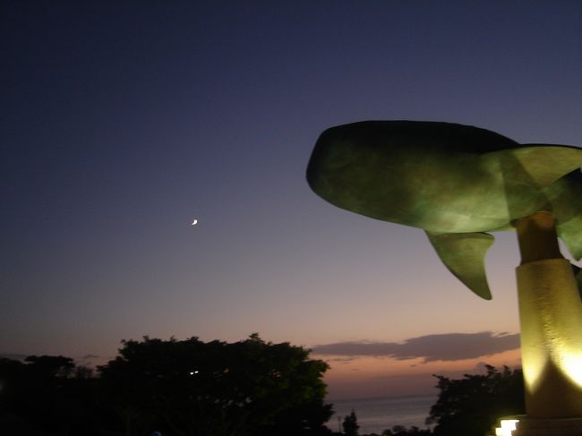 夕方、少し泳いだ後はまた美ら海水族館に戻って参りました。<br />３〜９月は２０：００までやってるので、１９：００頃行ってみたのですが、入れるのは水族館のみです。<br /><br />時間があったら見ようと思っていたマナティー館へは入れず残念。