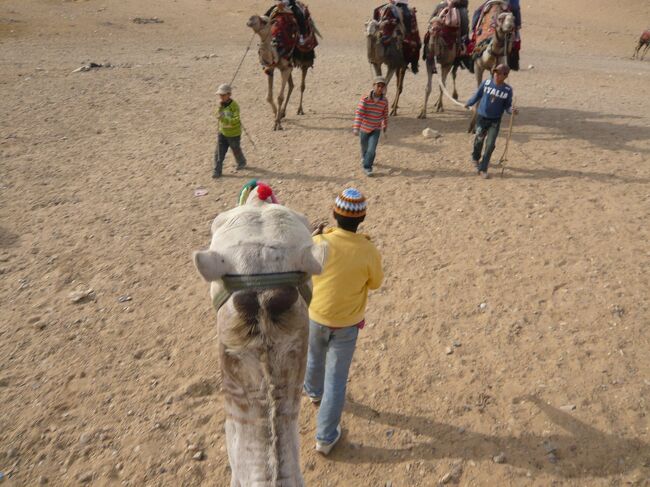 ピラミッドのビューポイントでラクダに乗りました。<br />現地ガイドのハトちゃんの仲介で500円です。<br />バスの中は日本円OKで、コインも受け取ってくれるので非常に助かりました。<br /><br />最初の立ち上がりが怖いのですが、後は平気です。<br />綱をとっている子供さんが折り返しのところで写真を撮ってくれました。<br />さすが、デジカメにも慣れてるようで上手でしたよ。