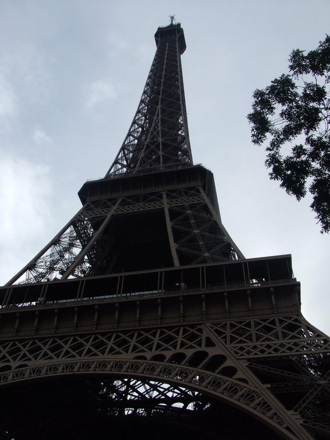 初めてなので、もちろんココに。