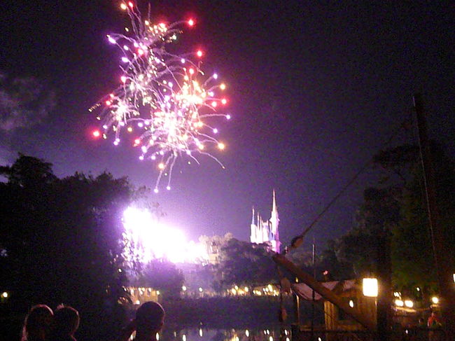"Frontierland Fries”にて夕食をとったあと、花火を見て本日のﾊﾟｰｸは終了です。