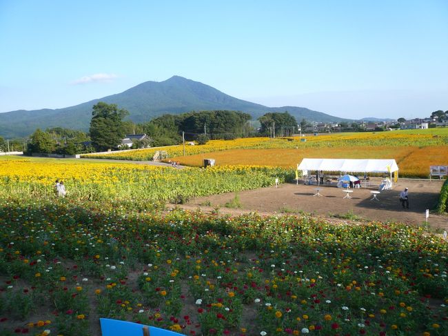 帰る前に全体をパシャリ。