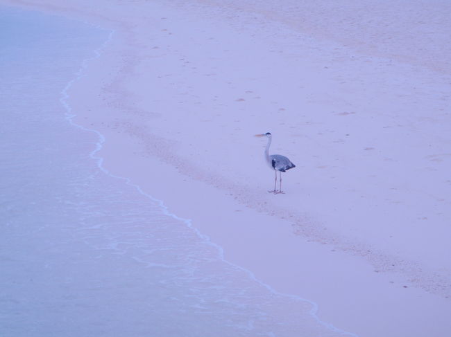 今日の午後に帰国です。<br />楽しかった５日間、あっという間でした。