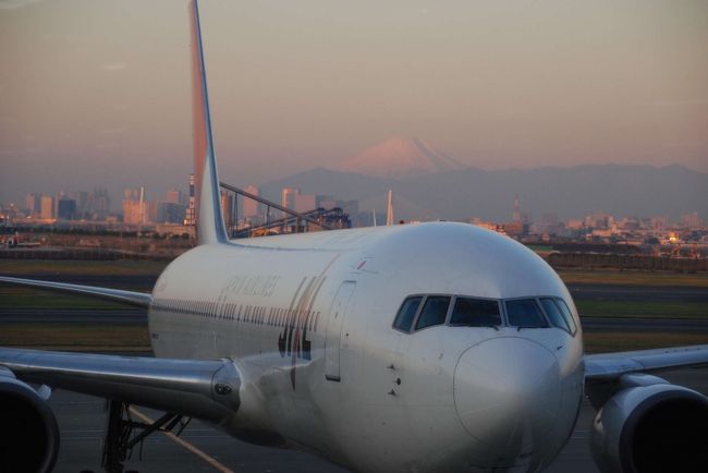 ７時40分発の朝一便<br />JAL1161で函館へ<br />