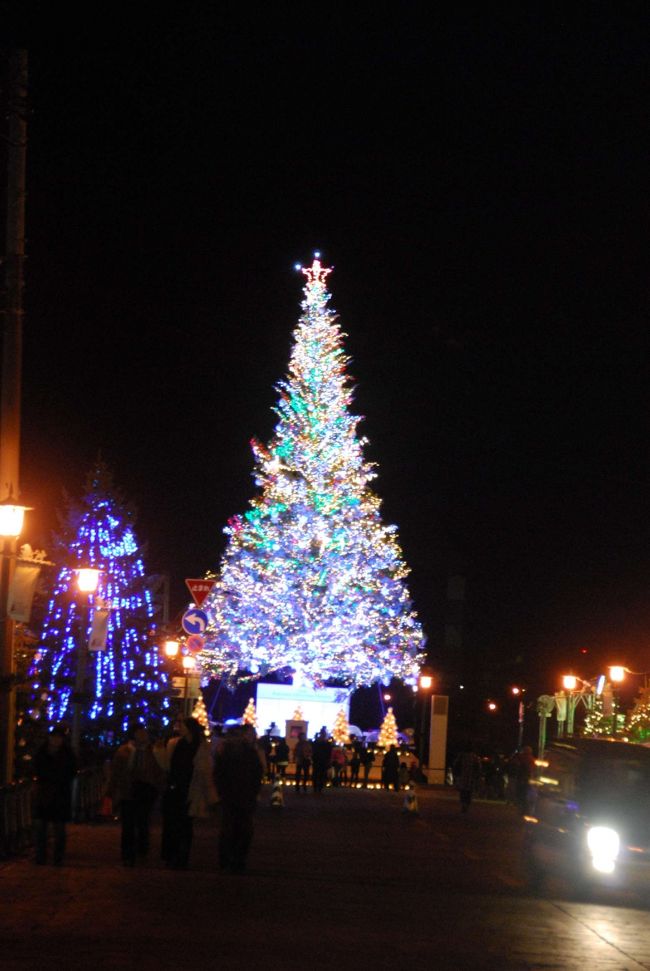 金森倉庫前のクリスマスツリー