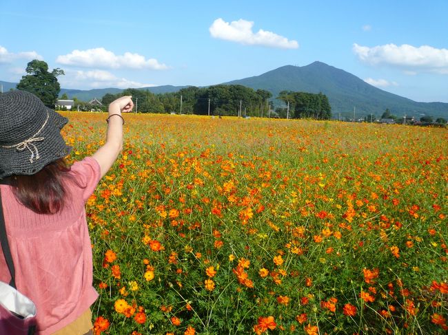 手前・黄色＆オレンジ<br /><br />　奥・黄色　<br /><br /><br />色が変わっている様子分かりますか？