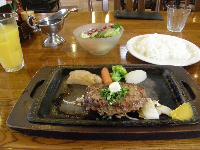 昼食は「串焼きとステーキ　えんや」<br /><br />超粗挽きハンバーグ１０５０円<br />味はなかなかよかったです。<br /><br />夕食は栃木牛を使っているようです。