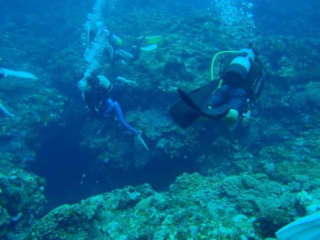 ダイバー<br />私も含めみんなカメラを握りしめてます