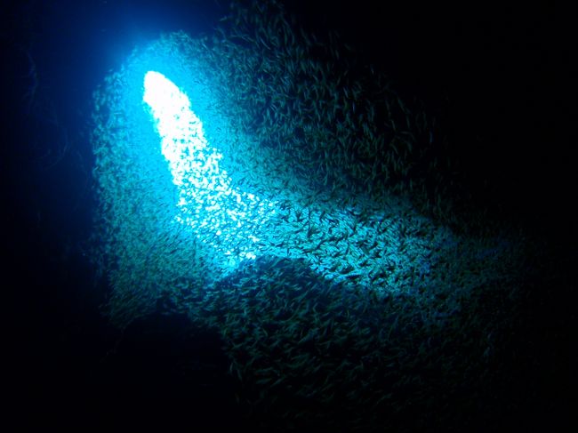 なにげにマンタに出合ったのと同じくらい<br />感動してみたりして<br /><br />初めての地形ポイントでこんな経験ができるなんて