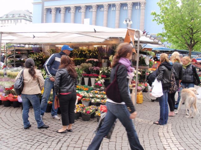 ヒュートリエットではお花のマーケットが。