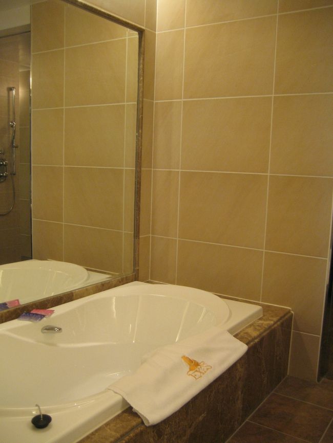 大きな鏡と、バスタブ