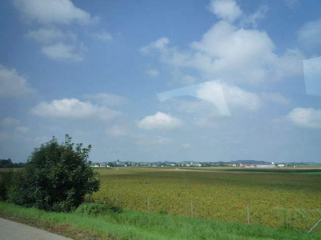 朝はジャケットが必要なくらい冷えてて、とても曇っていた。<br /><br />しかし、運のいい私たち！！<br /><br />一気に晴れました！！<br /><br />ウィーンからザルツブルクへ向かう途中、<br /><br />世界遺産のハルシュタット湖を訪れました。<br /><br />ハルシュタットを訪れることのできるツアーはあまりないです…。<br /><br />だから、この日はツアーのハイライトなのです☆<br />