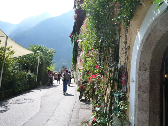 湖畔を散歩<br /><br />晴れてるから気持ちよすぎる！！