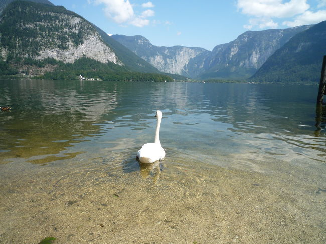 こんなところで暮らしているあなたがうらやましい。