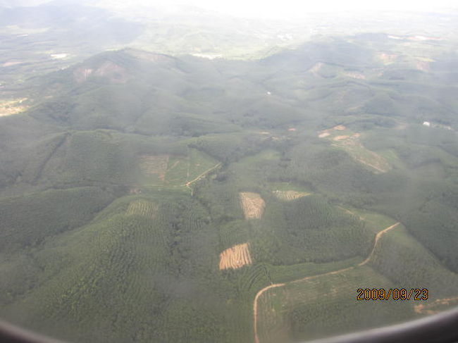 この辺りの山は、殆どゴム林に植林されている。