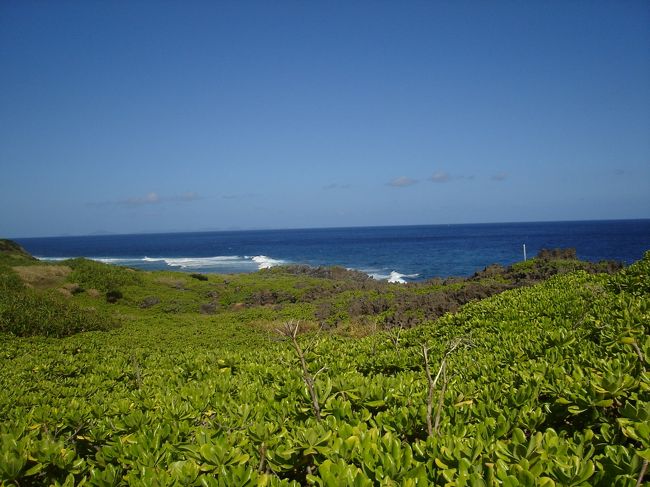 沖縄本島最南端の喜屋武岬周辺は畑や民家もありましたが、こちらの辺戸岬は自然がいっぱいです。