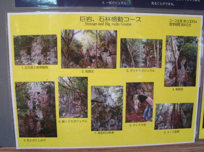 次は、国定公園「石林山公園」です。<br /><br />券売所でシャトルバスに乗り、精気小屋という所に到着。<br />４つの見学コースがありますが、全てここからスタート。特別やることのない私たちは一番長いコースへ。