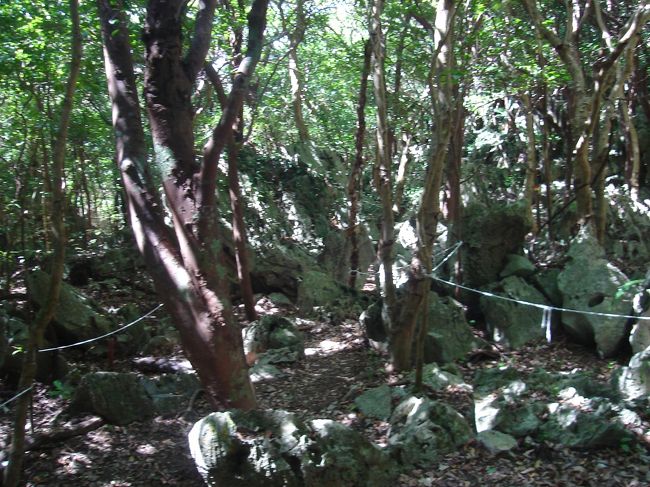 2億年前の石灰岩と自然の中を進んで行きます。