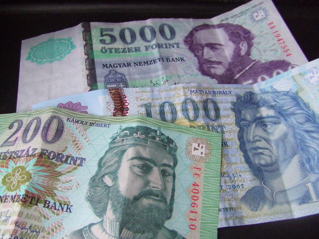 ハンガリーの通貨、フォリントです。<br /><br />ハネムーンなので、今回は久しぶりにツアー旅行を利用しました。<br /><br />添乗員さん、ツアー仲間にも恵まれ、本当に楽しい旅行になりました。<br /><br />ありがとうございました(*^▽^*)！！