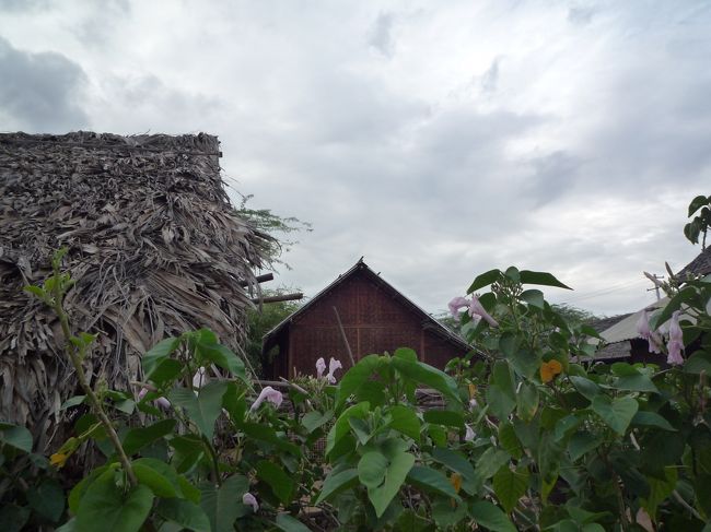 村の家<br />のどかな風景です。<br />（バガン郊外）