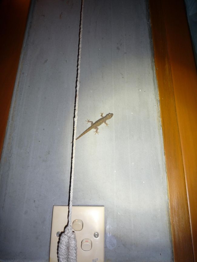 バガンでの観光も今日で終了。<br />明日はマンダレーに向かいモンユワに泊まる。