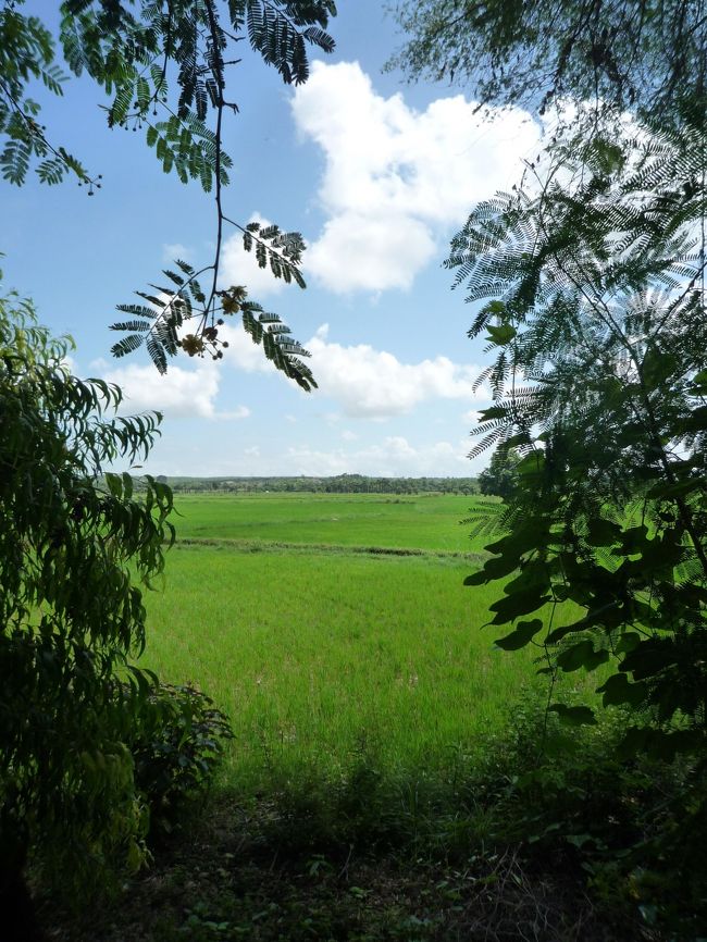 モンユワへ向かう途中の風景。<br />天気がいいのは越したことではないんですが、暑いのなんのって。<br />平和な農村に見えるけど、戦時中はこの国で何十万人もの人間が死んでいったとは悲しいことです。<br />