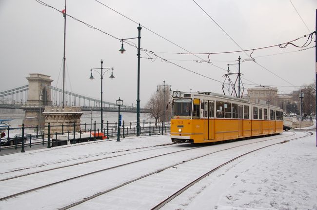 真っ白な路面を走るブダペストの路面電車