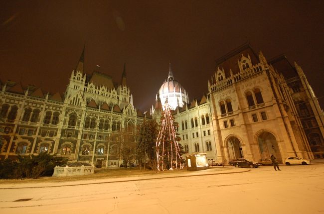 夜の国会議事堂も美しいです。