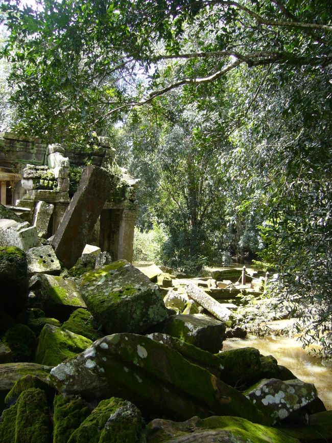 お次は、タプローム。<br />ここの遺跡は、私の1番のお気に入り☆<br />苔たっぷりの岩と、生え茂る木々の間から、差し込む光。幻みたい。。。