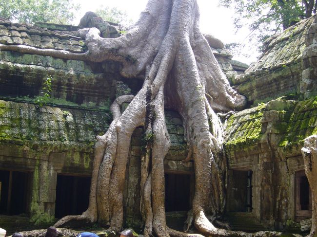 すごい…　声をなくすほどの迫力。<br />自然の息吹を感じます。