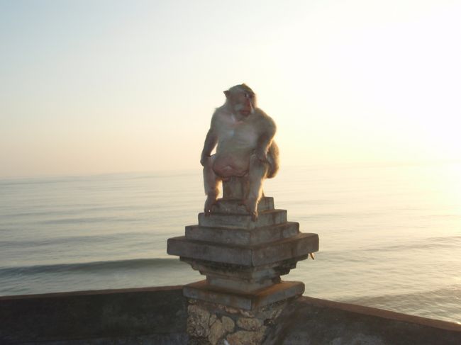 夕日の前にいたお猿さんです。<br />でんぶり。。。