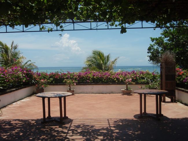 フラワーバスの目の前には海が↑↑