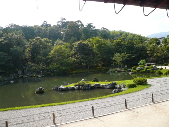 天竜寺のお庭は和めますねぇ。