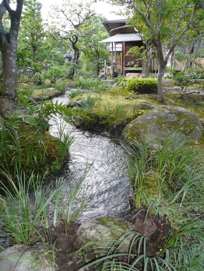 池の横にはこんな小川もあります。