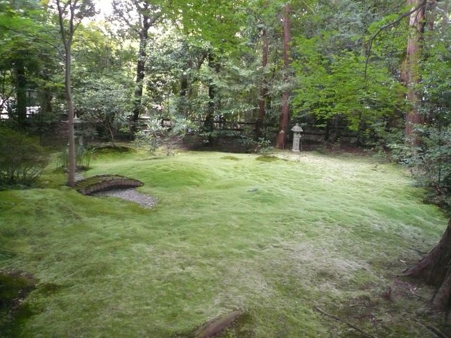 奥に進むと苔が一面に生えています。